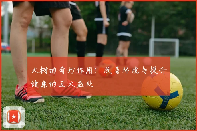 大树的奇妙作用:改善环境与提升健康的五大益处
