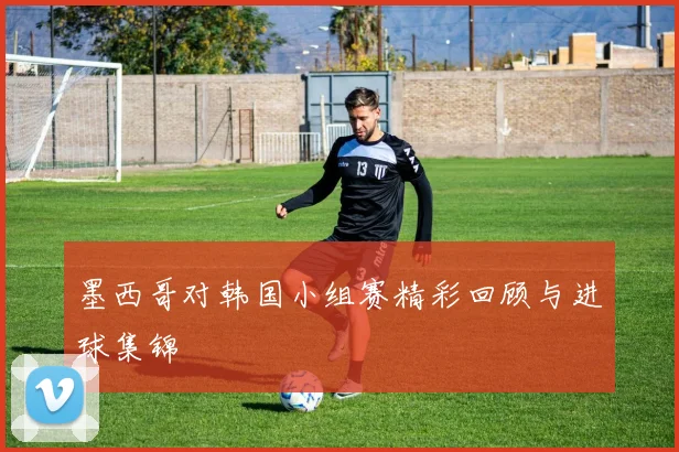 墨西哥对韩国小组赛精彩回顾与进球集锦