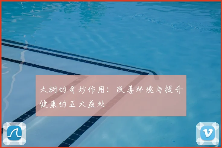 大树的奇妙作用：改善环境与提升健康的五大益处
